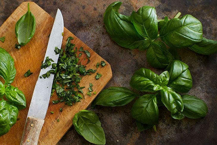 The trick to growing basil endlessly and having it all year round