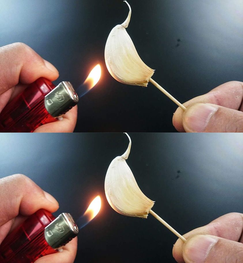 Burning a clove of garlic, what happens after 15 minutes at home