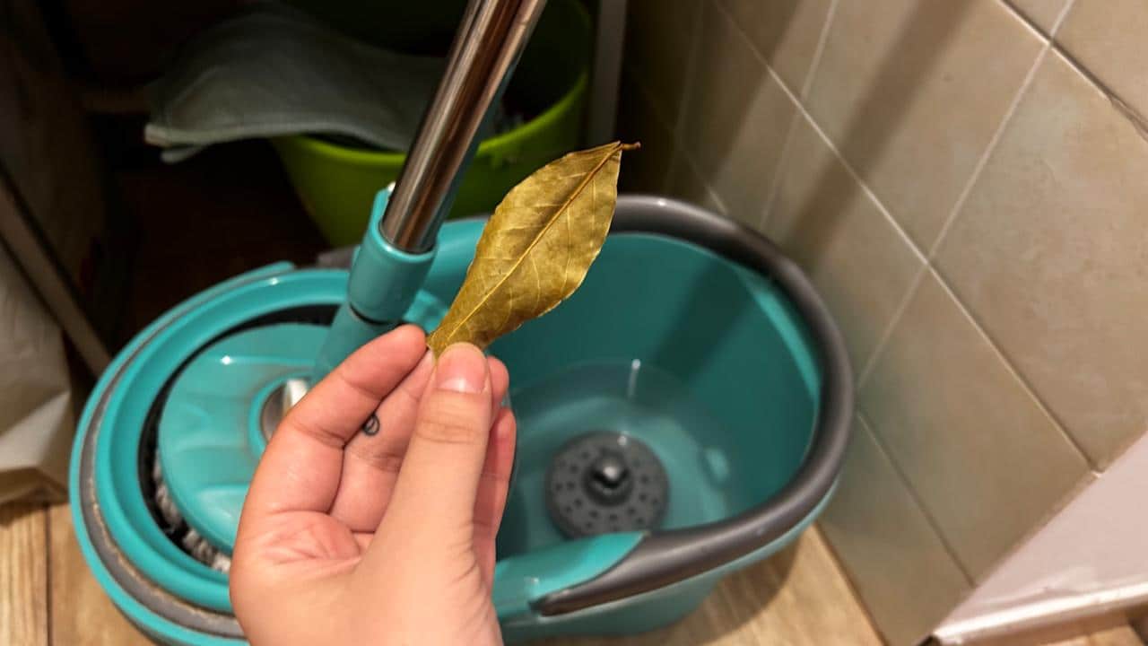 BAY LEAF IN THE MOP BUCKET: WHY HOUSEWIVES BEGAN TO DO IT