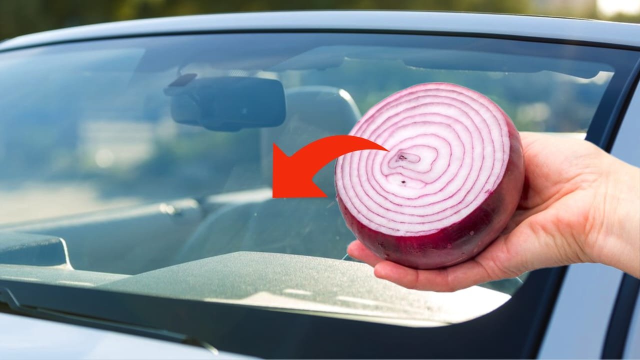 ONION ON YOUR CAR WINDSHIELD, YOU’LL NEVER IMAGINE WHAT A BIG PROBLEM IT SOLVES