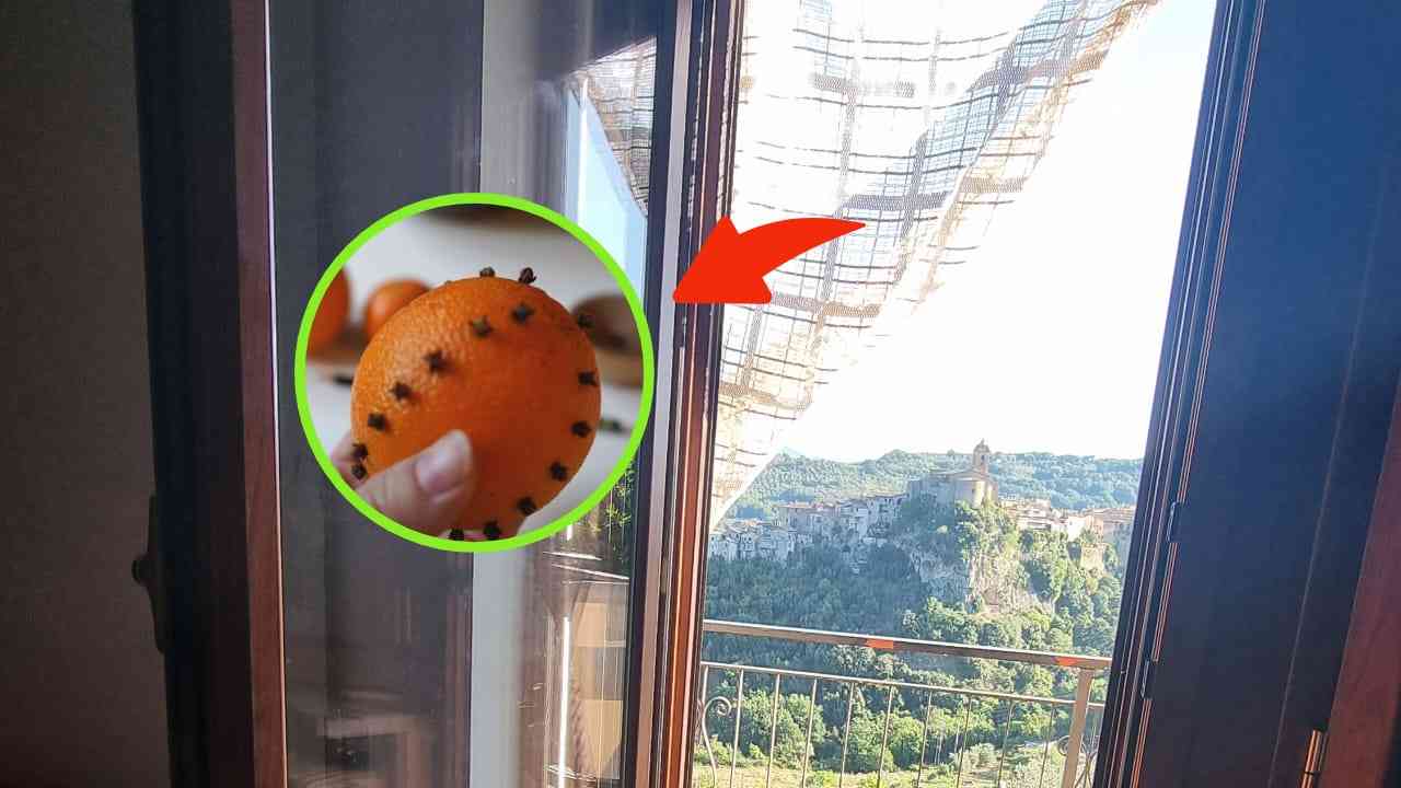 WITH THIS TRICK THE INSECTS WILL NOT ENTER THE HOUSE EVEN WITH THE WINDOWS OPEN