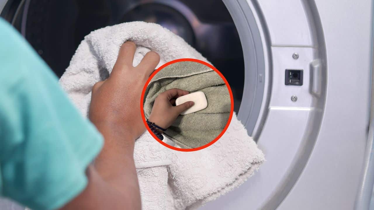 SMELLS LIKE STUFF IN THE WASHING MACHINE AFTER RETURNING FROM HOLIDAY: HOW TO GET RID OF IT