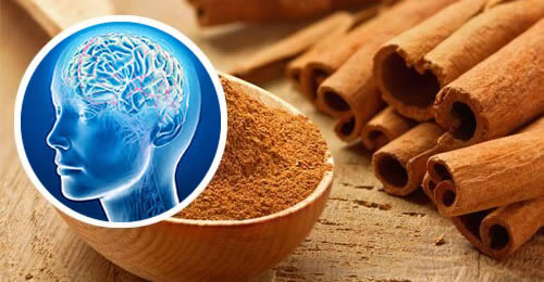 The spice that regenerates neurons and doubles memory