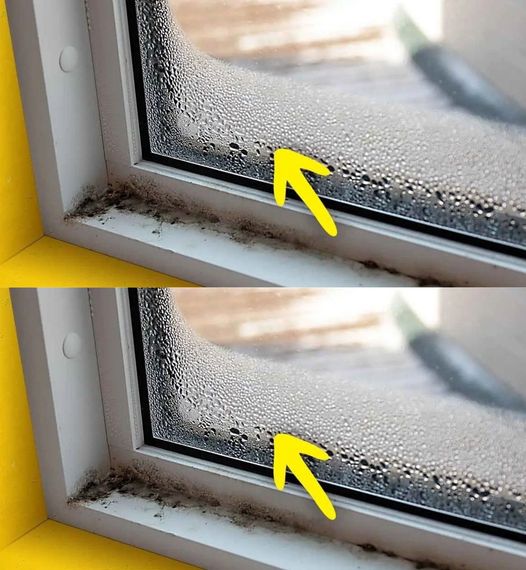 How do I remove moisture from the house? 7 simple tricks