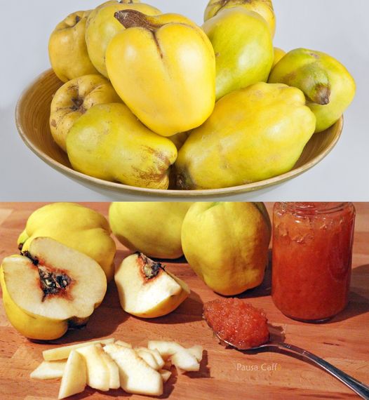 Quince: The forgotten fruit that eliminates wrinkles, lowers cholesterol and causes trips to the toilet