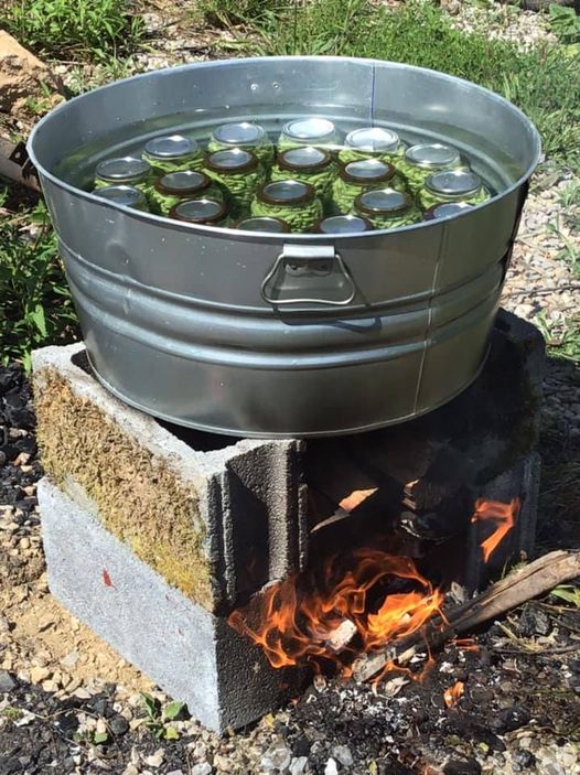 Canning Beans the Old-Fashioned Way: A Step-by-Step Guide for Beginners