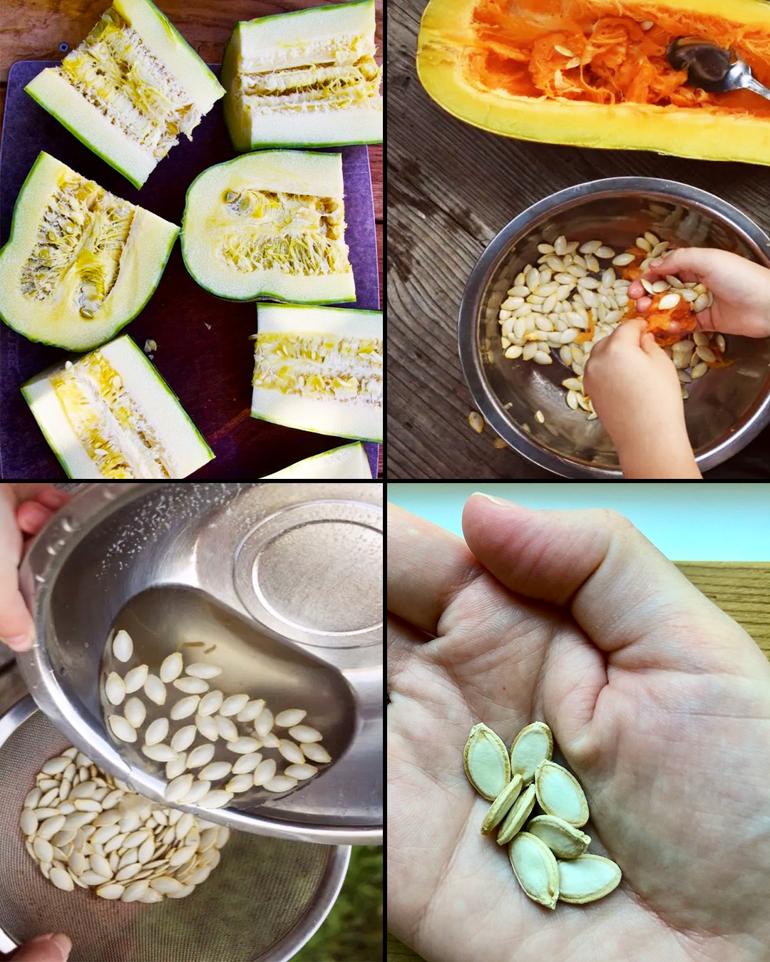 How to Save Zucchini Seeds