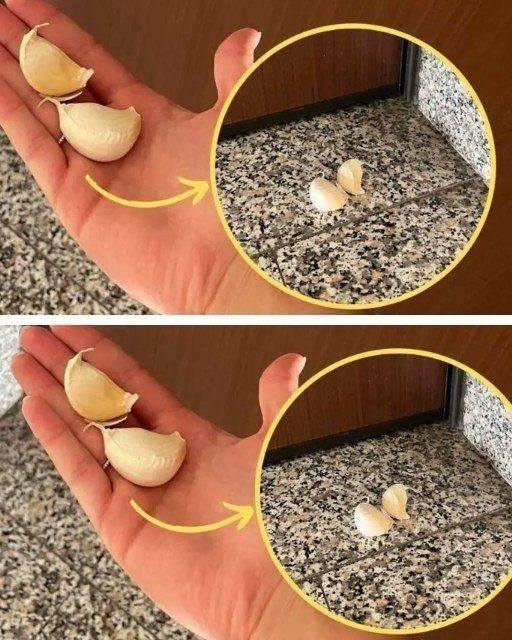 Why leave a clove of garlic outside the house? The trick that solves problems
