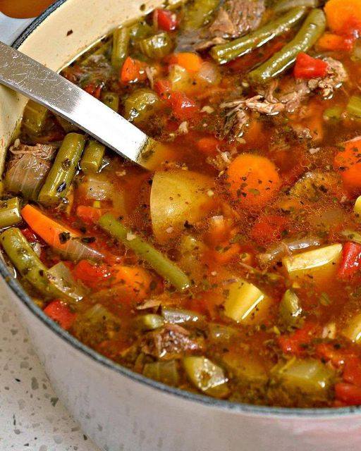 Vegetable beef soup