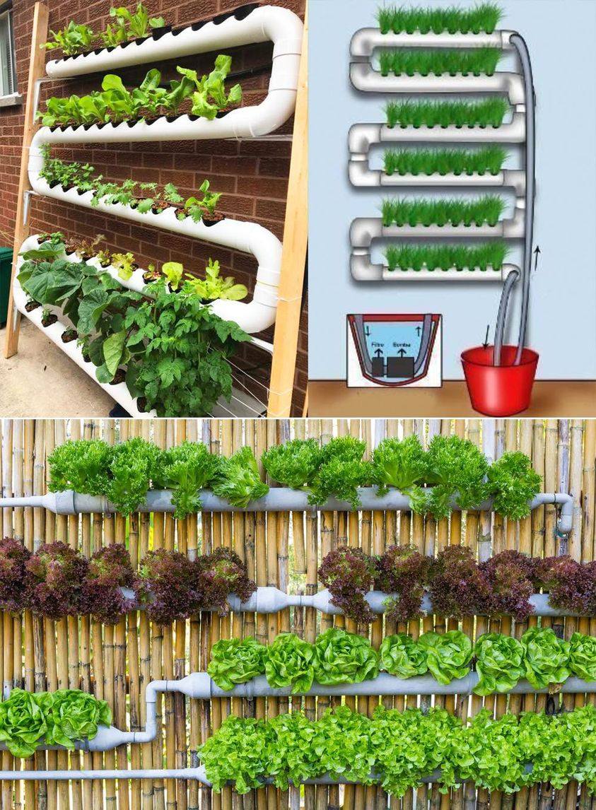 DIY Hydroponic Growing System: Create your own system at home