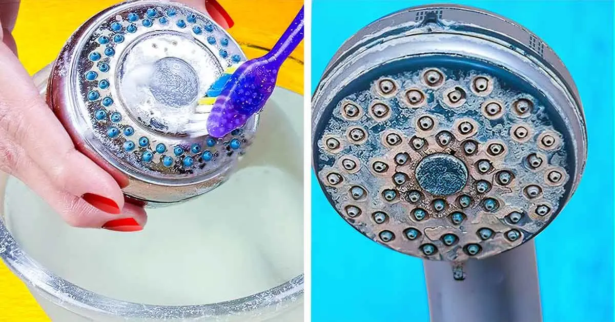 How to remove limescale from the shower head?