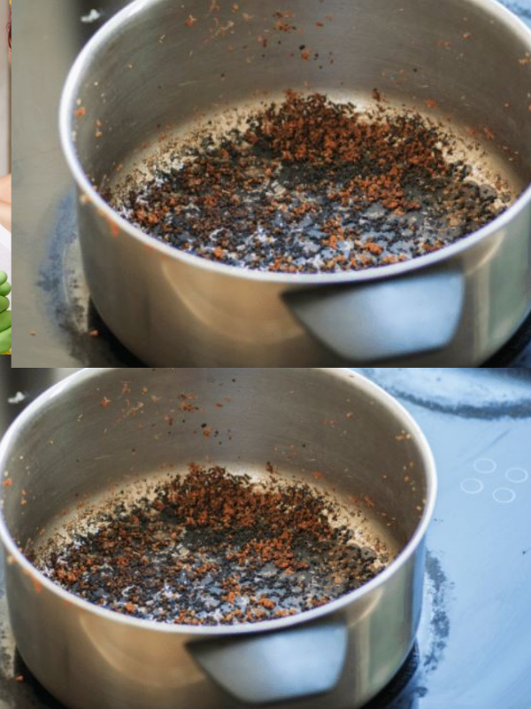 How to Grow Cantaloupe Melon in Soil Bags
