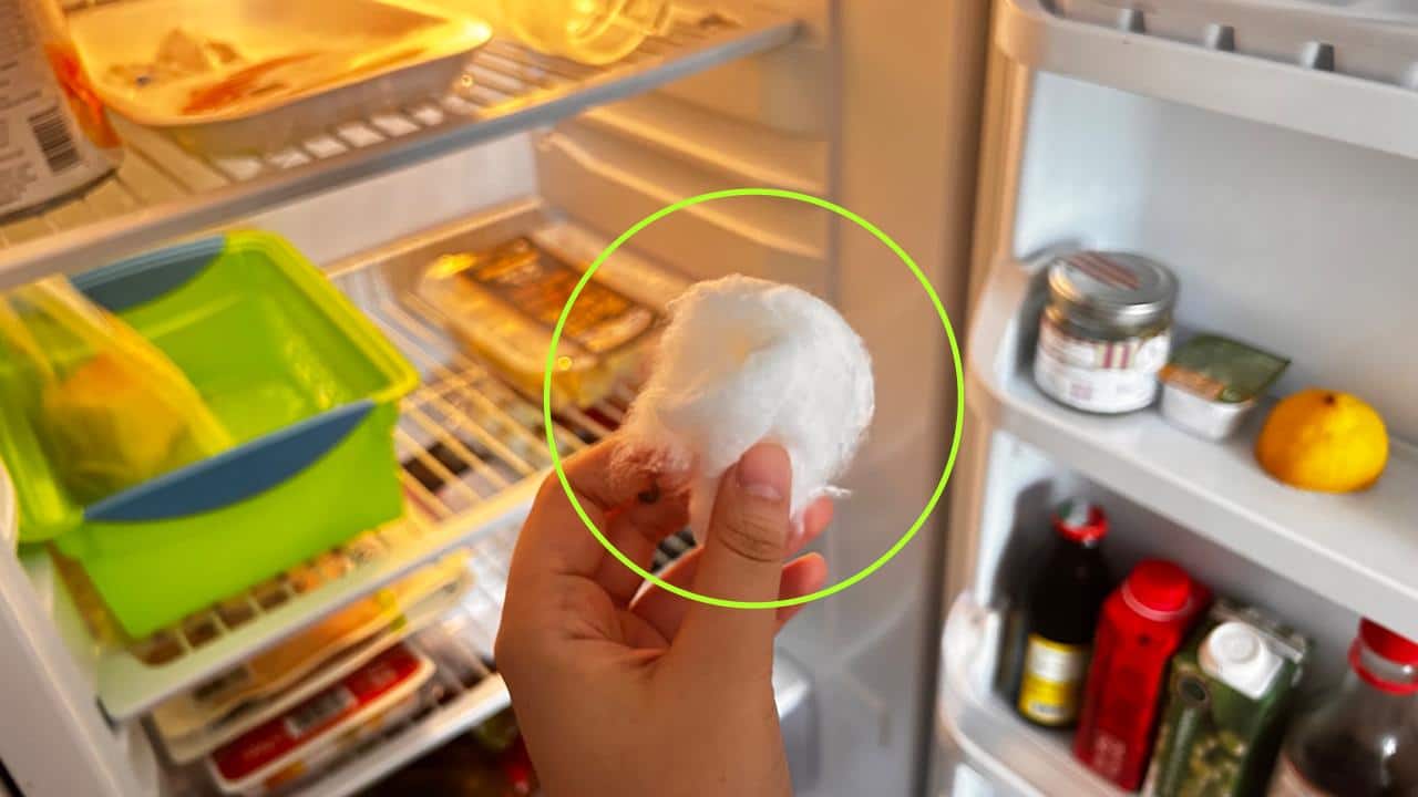 COTTON IN THE FRIDGE, BECAUSE MANY ARE LEAVING IT THERE: THE UNEXPECTED MOTIVATION