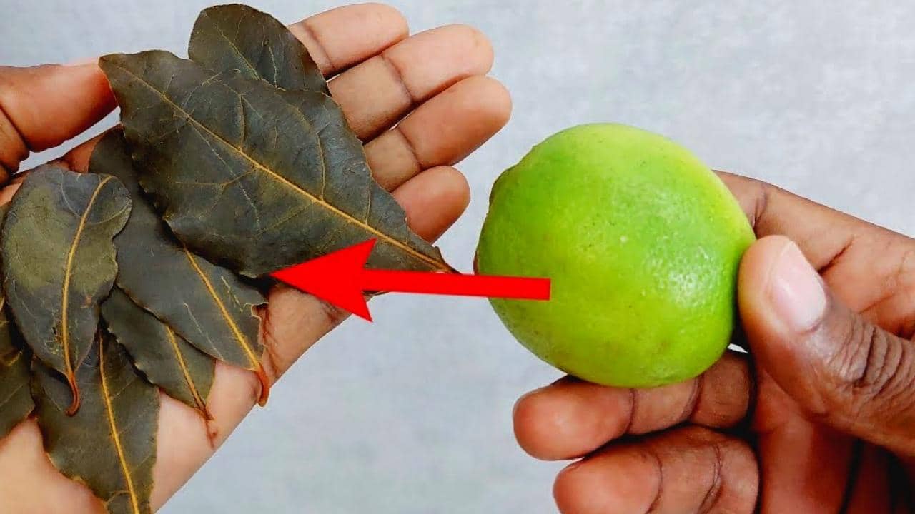 THE OLDEST SECRET OF HOUSEWIVES, YOU NEVER THOUGHT ABOUT IT: MONEY SAVED