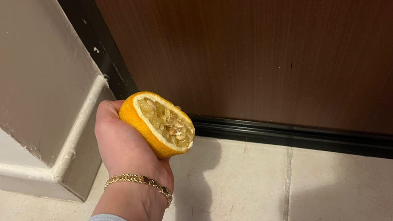 BECAUSE IN MAY EVERYONE SQUEEZES A LEMON UNDER THEIR FRONT DOOR: UNEXPECTED