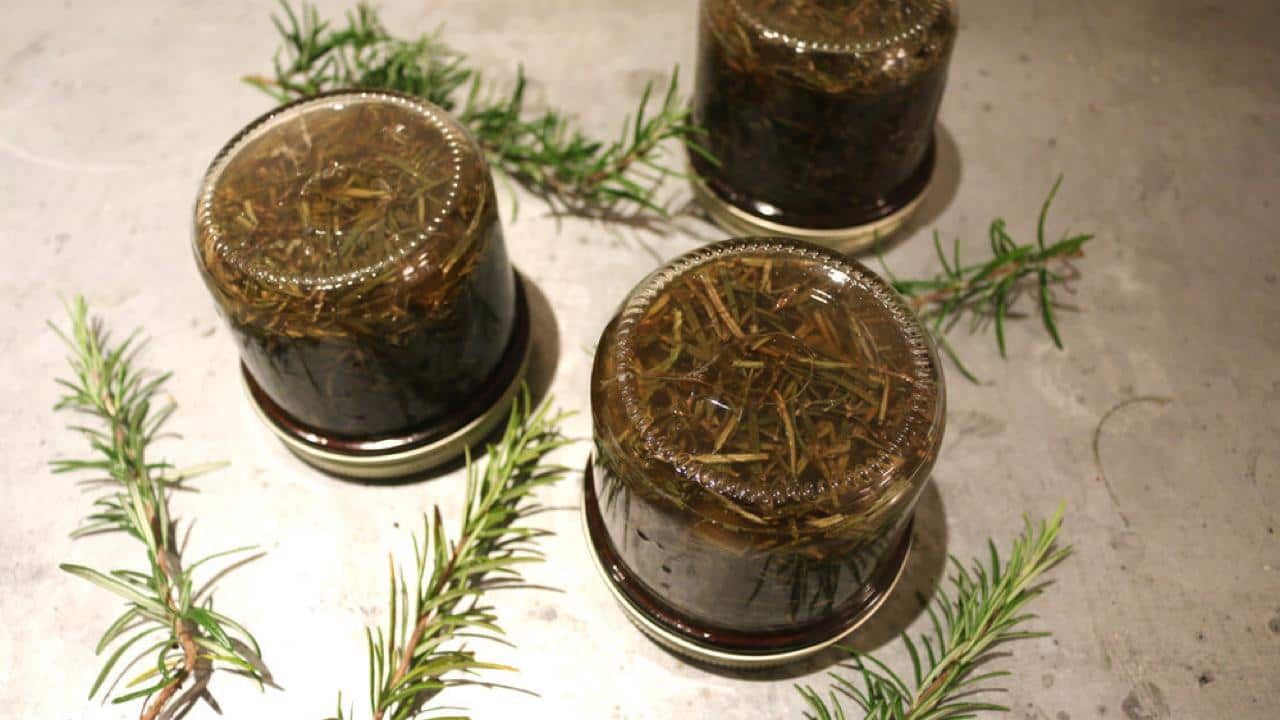 ROSEMARY, SOAK IT IN A JAR FULL OF ALCOHOL: THE BENEFITS ARE AMAZING
