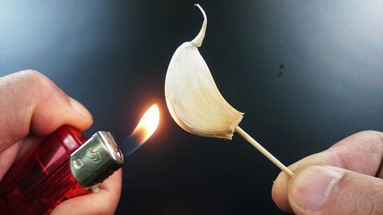 Burn a clove of garlic, which happens after 15 minutes at home