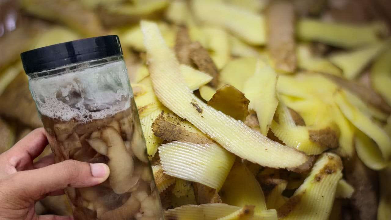 DIP POTATO PEELS IN A JAR FULL OF BOILING WATER – WHAT HAPPENS