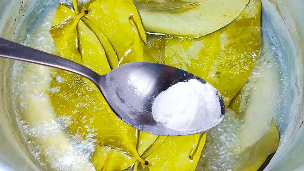 The baking soda trick on the bay leaf: grandmother’s old technique that didn’t deserve to be forgotten