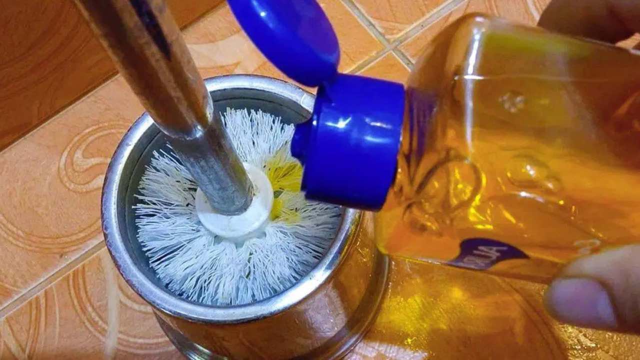 3 DROPS OF SHAMPOO IN THE TOILET BRUSH: BECAUSE MANY HAVE STARTED DOING IT