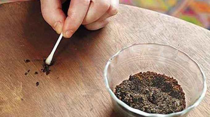 18 Unexpected Uses of Coffee Grounds in the Home and Garden.