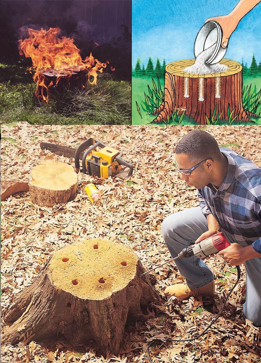 4 Easy Ways to Remove Tree Stumps