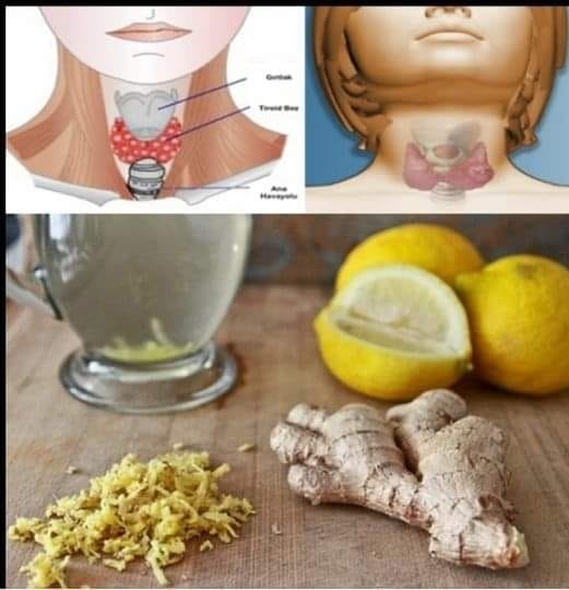 Ginger Water: The Healthiest Drink for Burning Fat from the Waist, Back and Thighs