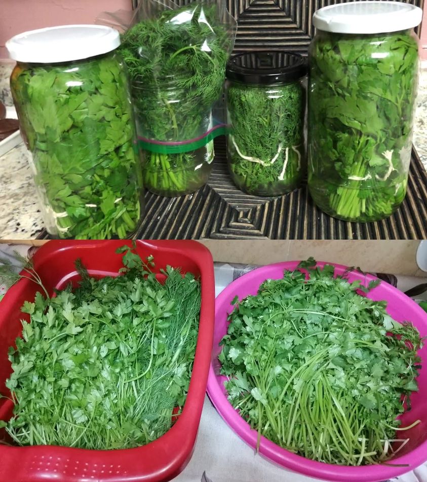 Fresh Parsley for a Month With the Bowl Method: Chefs Do It