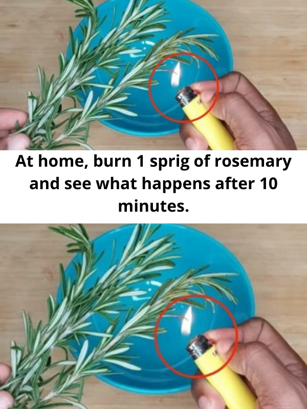 At home, burn 1 sprig of rosemary and see what happens after 10 minutes.