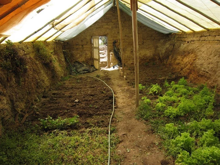 FOR YEAR-ROUND GROWING, TRY AN UNDERGROUND GREENHOUSE: How to Build an Underground Greenhouse