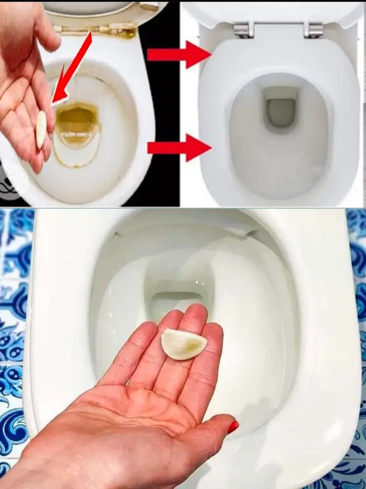 The Unusual Solution for Toilet Cleaning