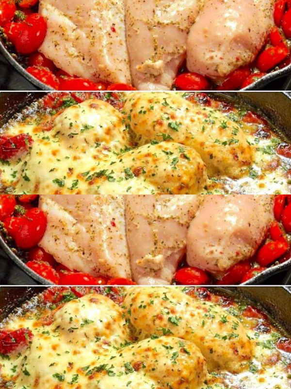 Oven chicken with tomato: the simple and tasty recipe.