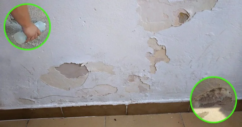 How to repair a wall damaged by saltpetre and mold forever