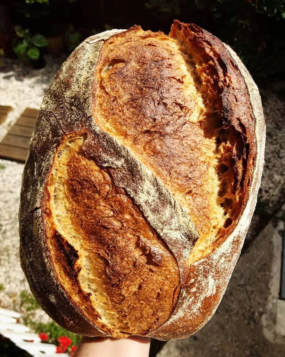 I will never buy bread again, prepared in just 5 minutes!