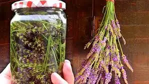 Lavender IN OIL is stronger than any medicine, my mother used to say: Remember this recipe for life!