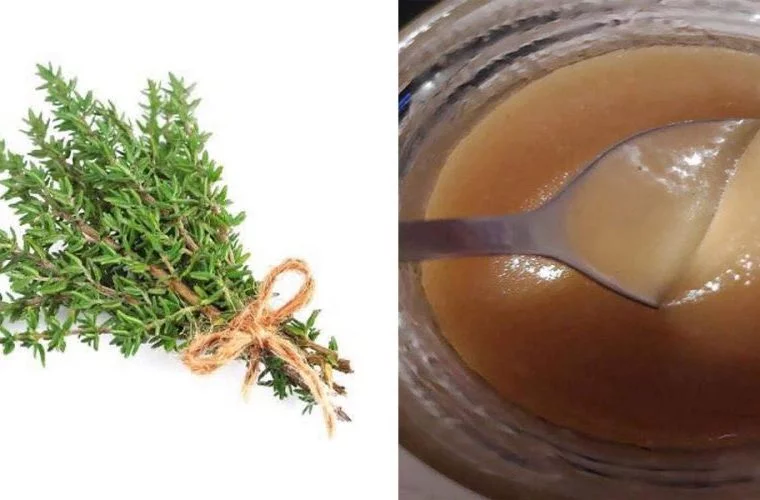 Recipe for thyme syrup for cough – tips from grandmothers